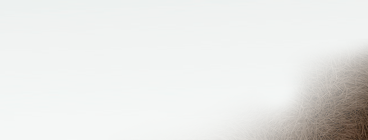 Futon von Futonwerk - Willkommen beim Original